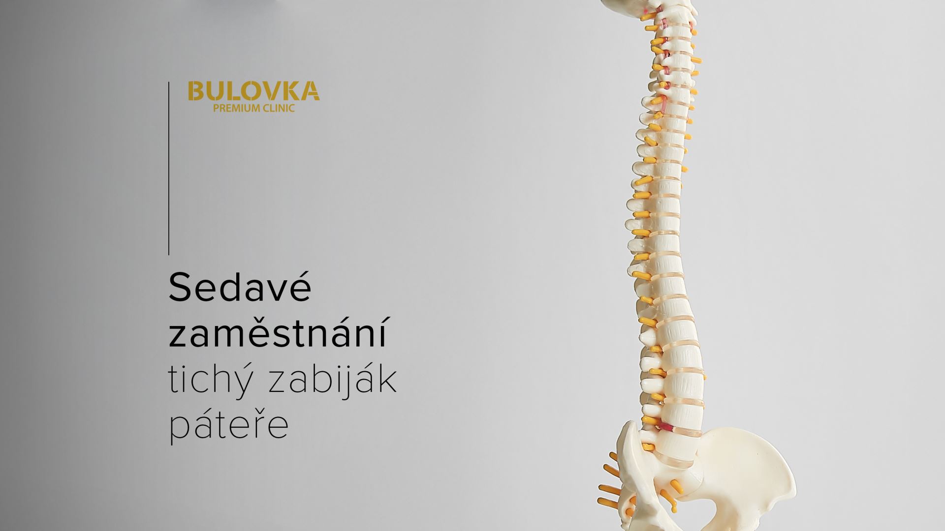 Sedavé zaměstnání | tichý zabiják páteře