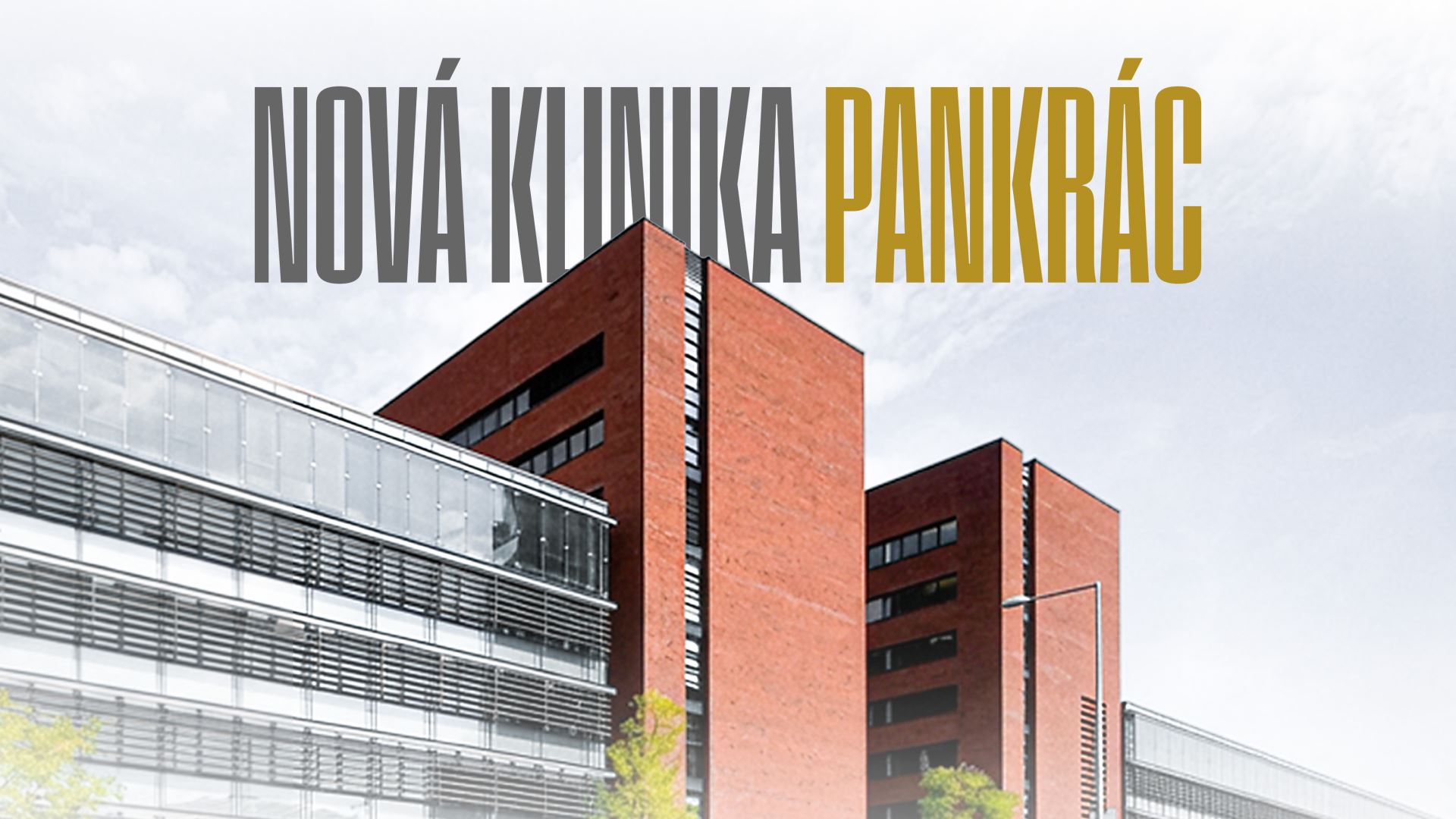 Nová stomatologie na Pankráci | Specialisté na děti i dospělé